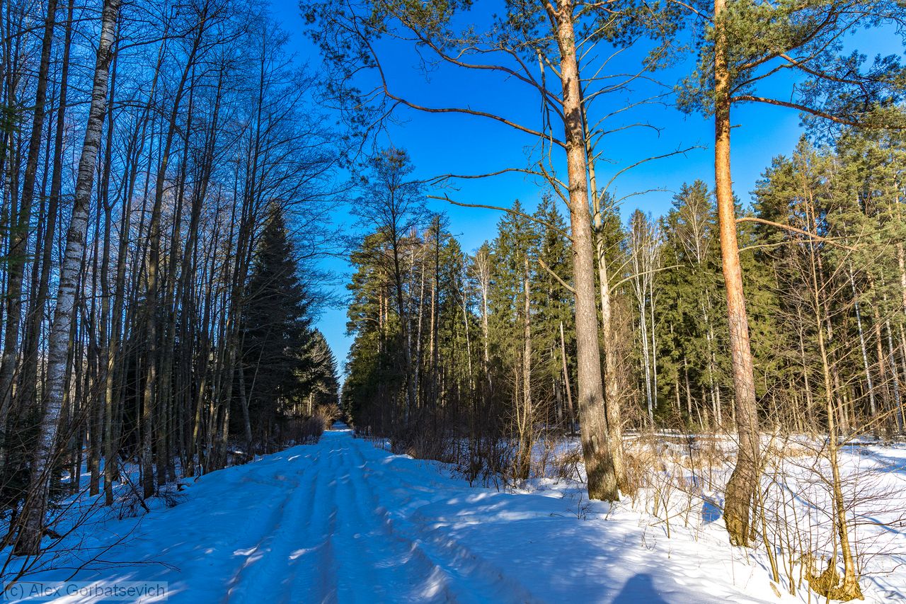 �� ������