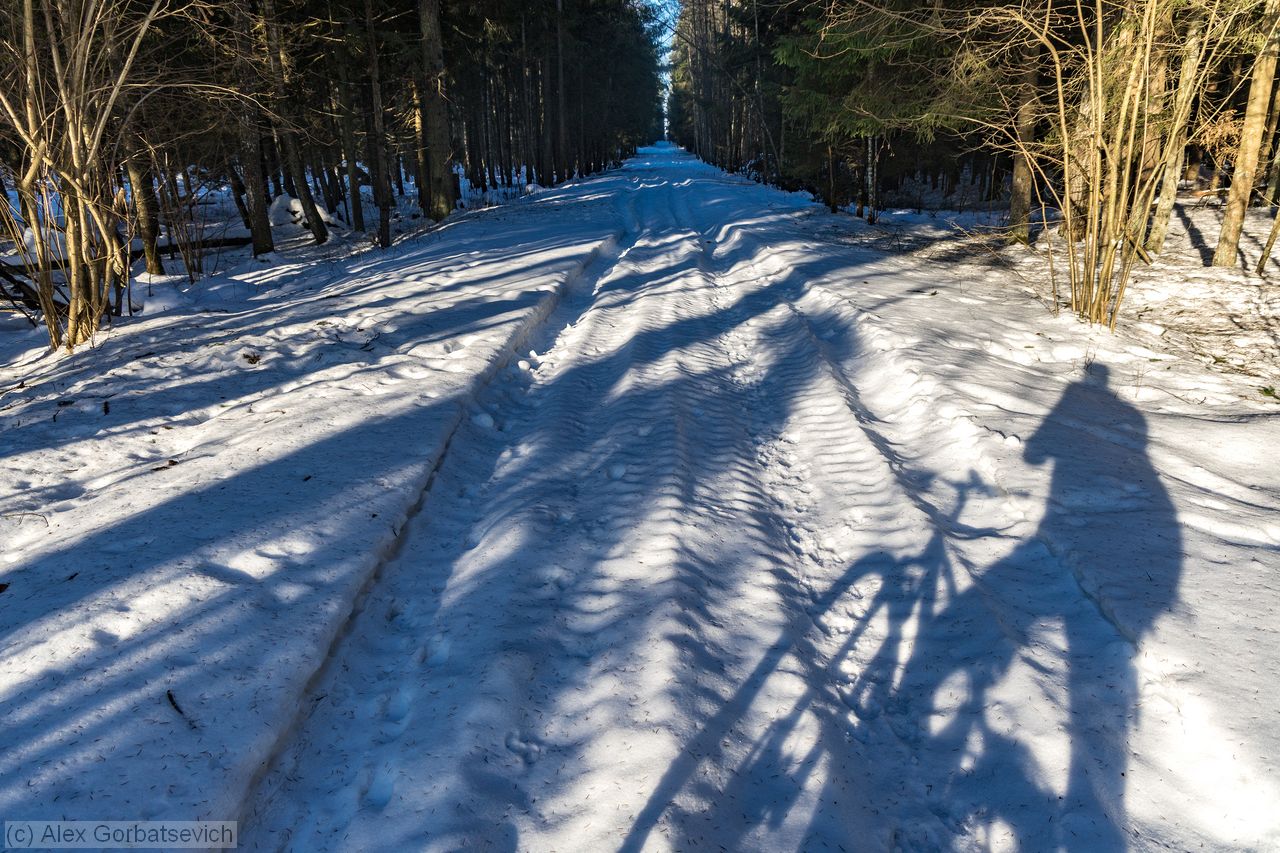 ����� ������ ����