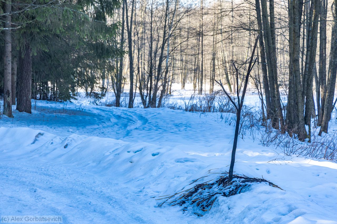 ������ ���� ���