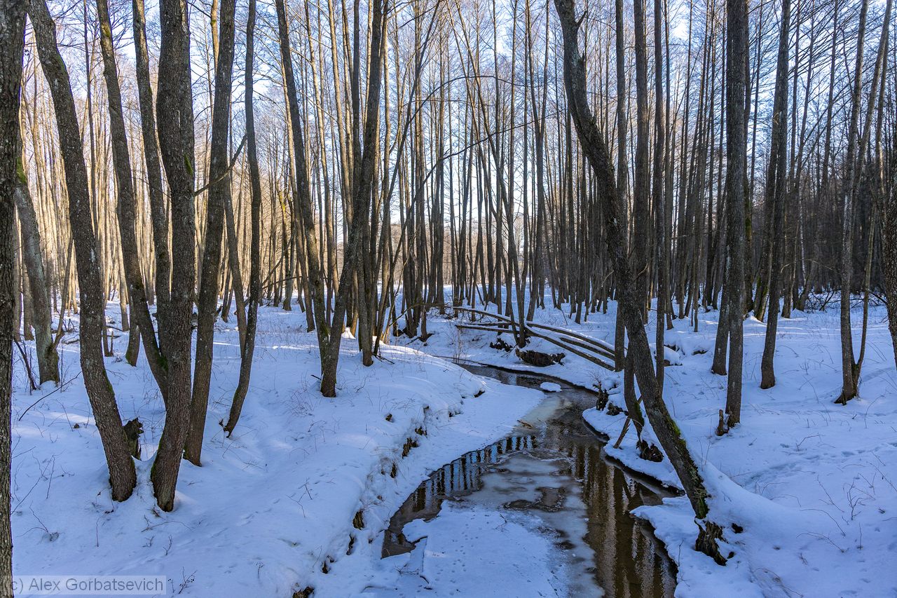 �. �����