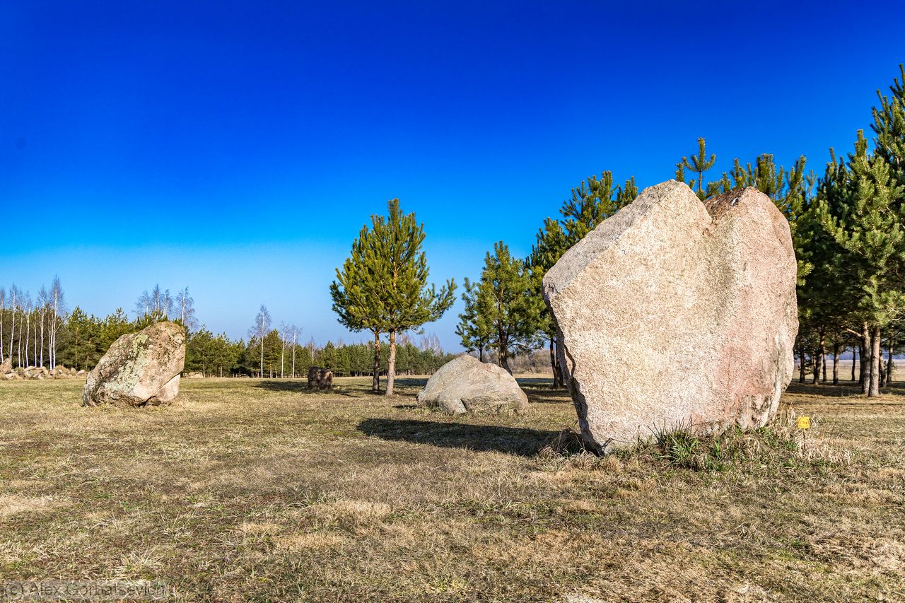 �������� ��������