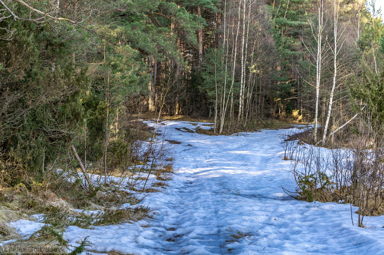 �������� ����������