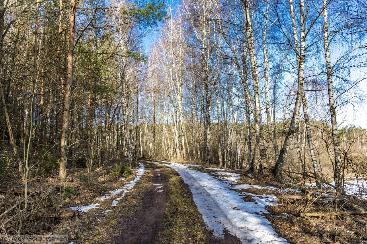 �� ������ ������