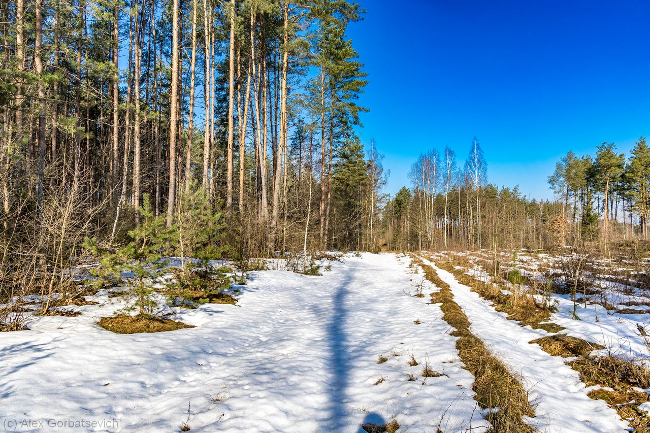 ���������� �����