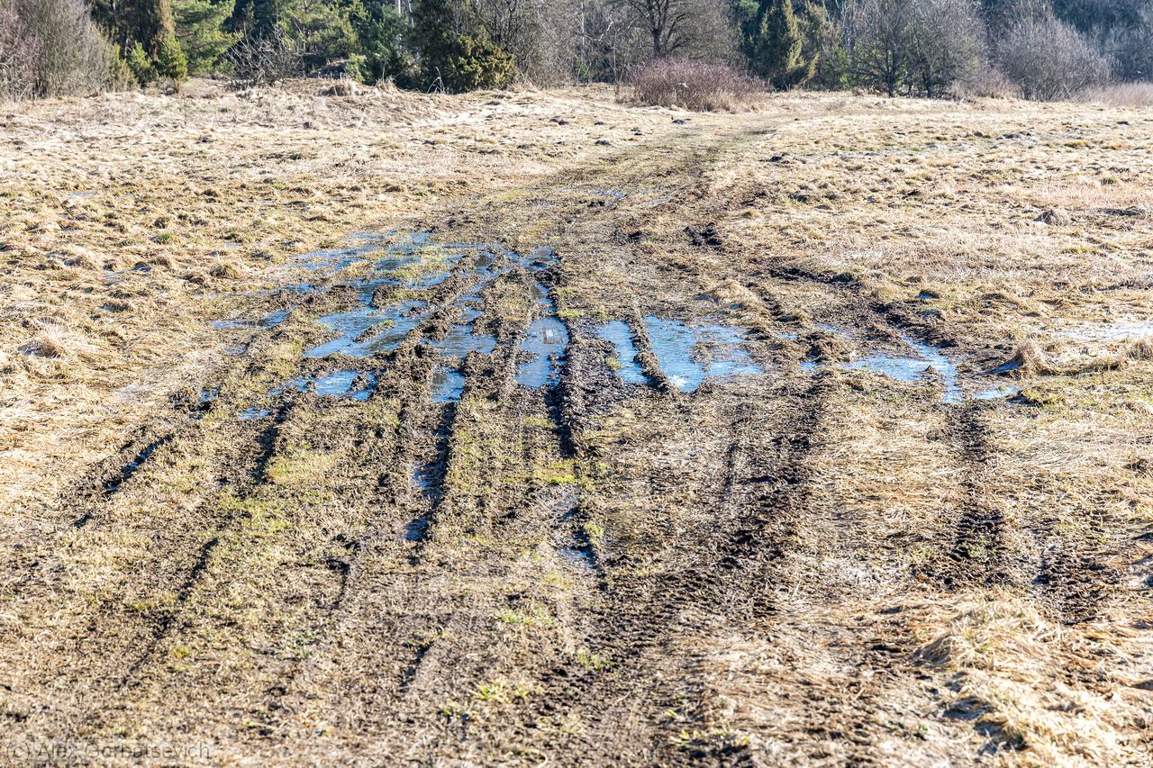 ������������� ���������