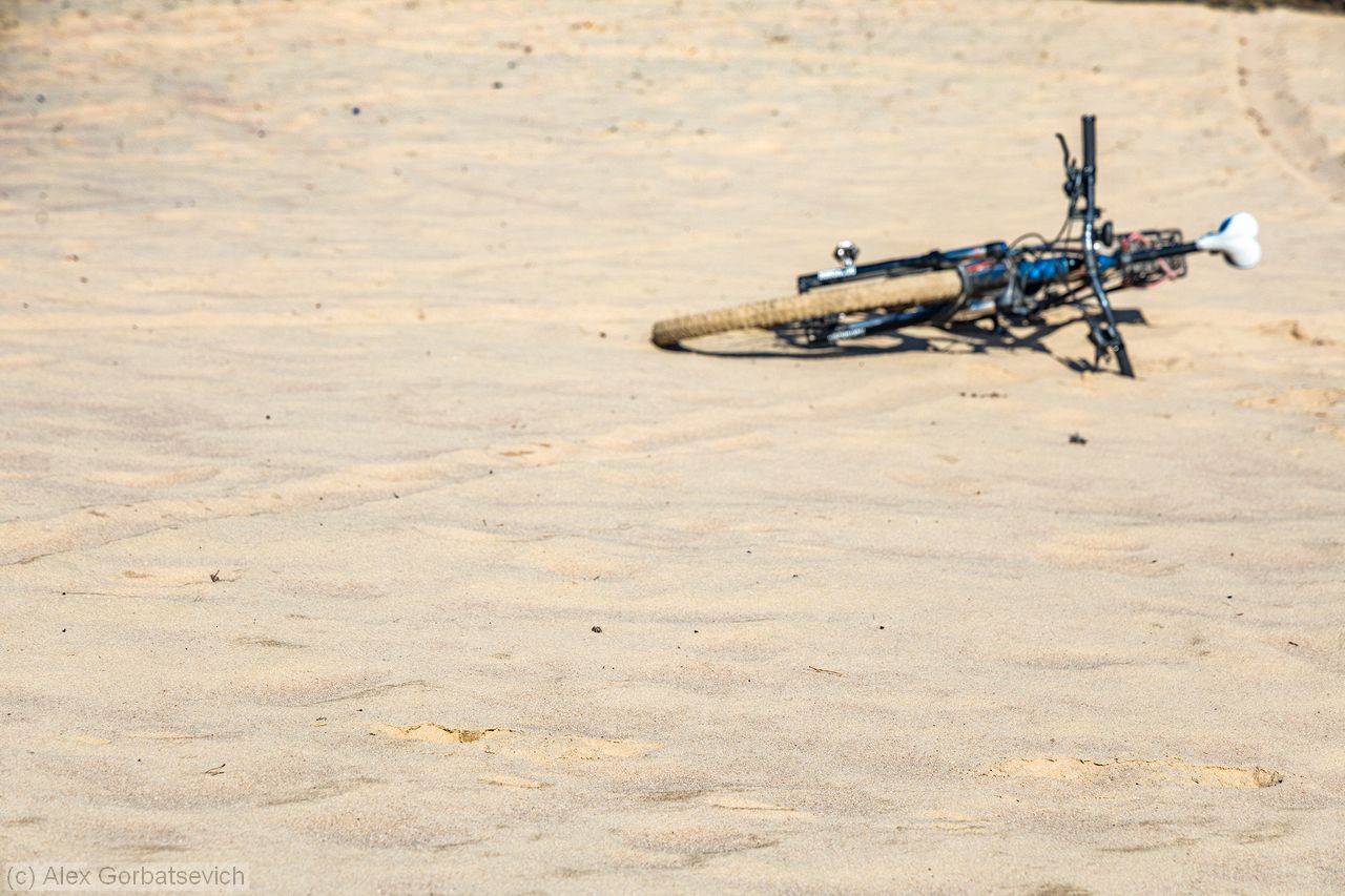 ������ ���������