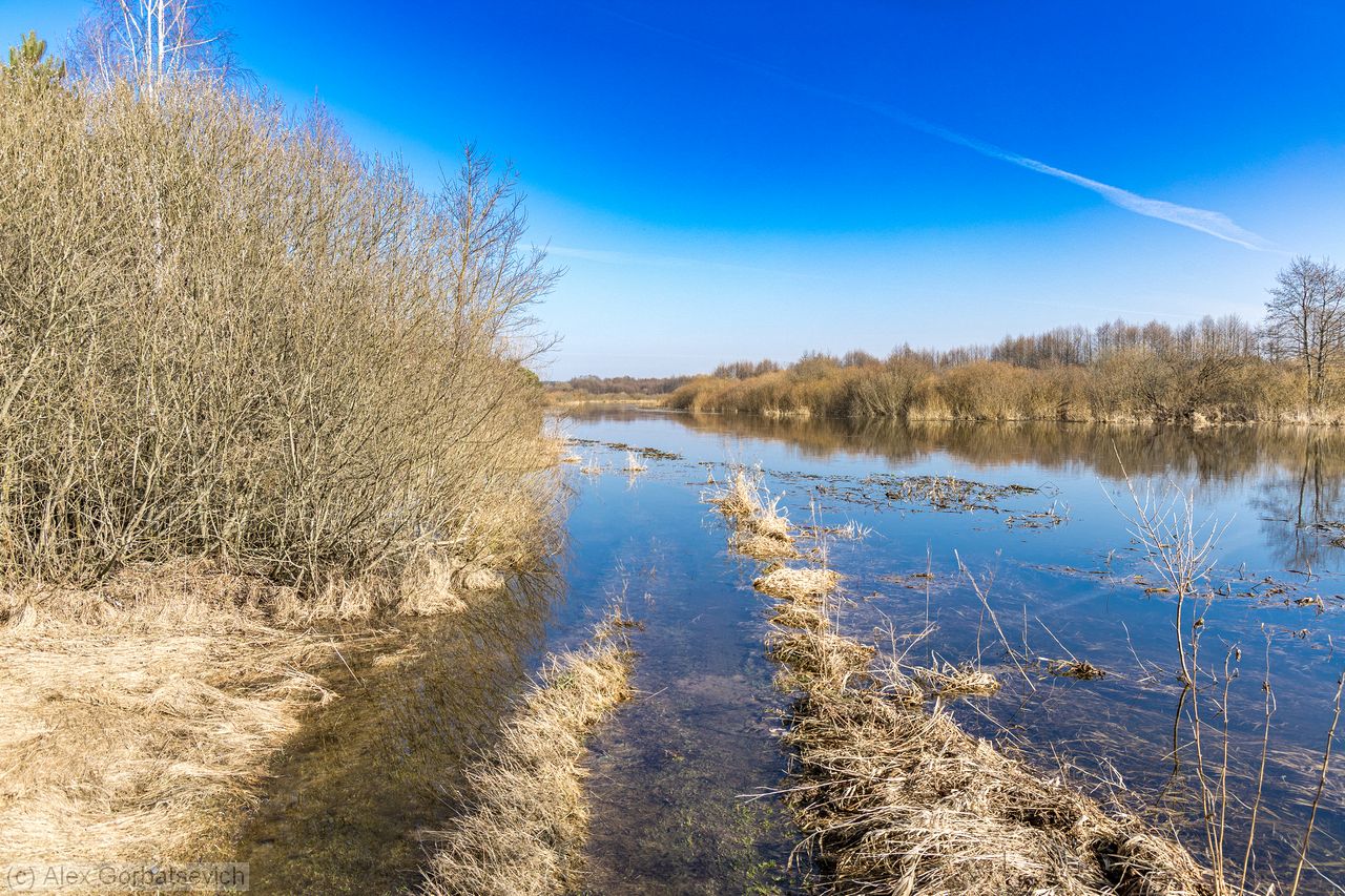 ������ ����� ����� ������ � �������