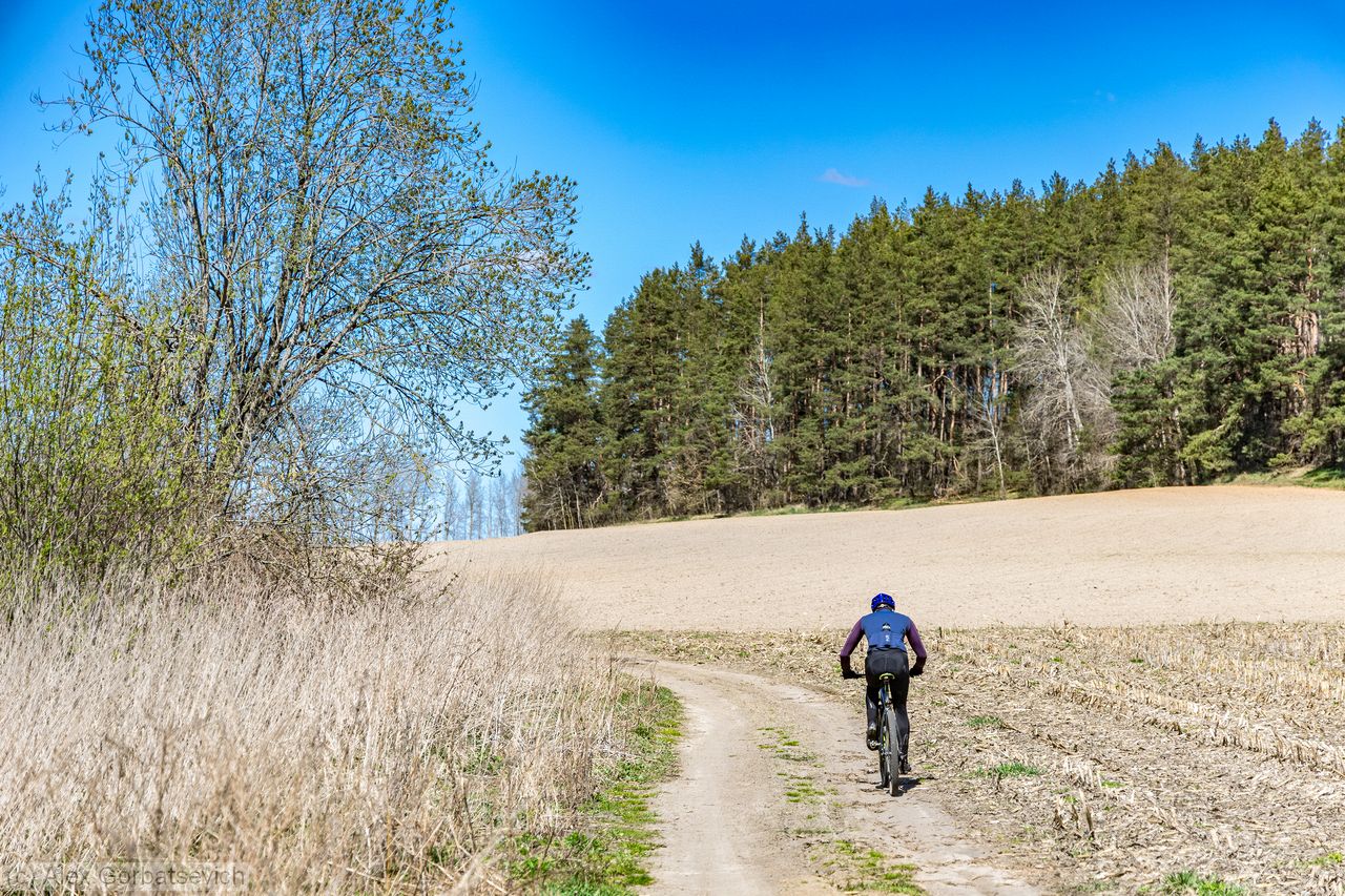 ��������� ������������ ������