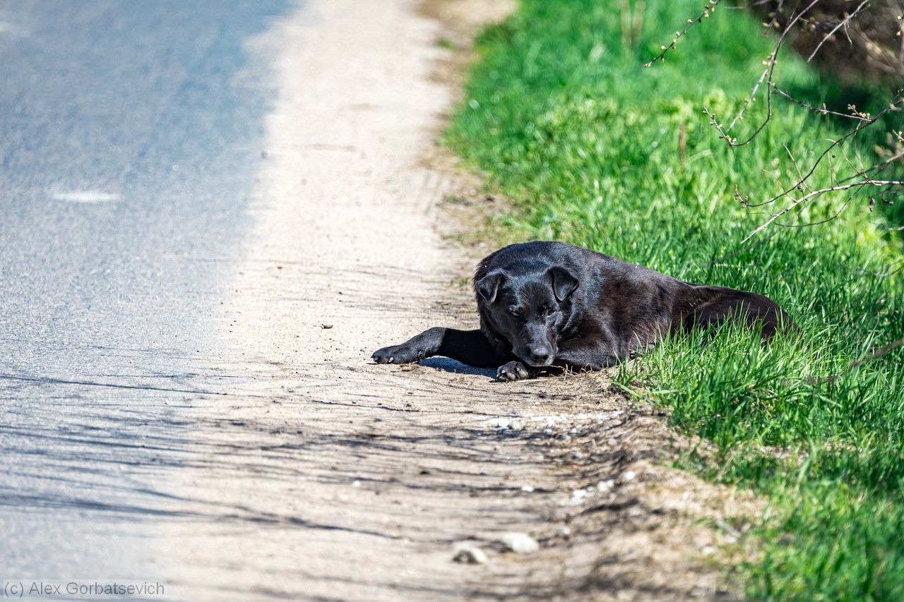 ��� ����� �� ������