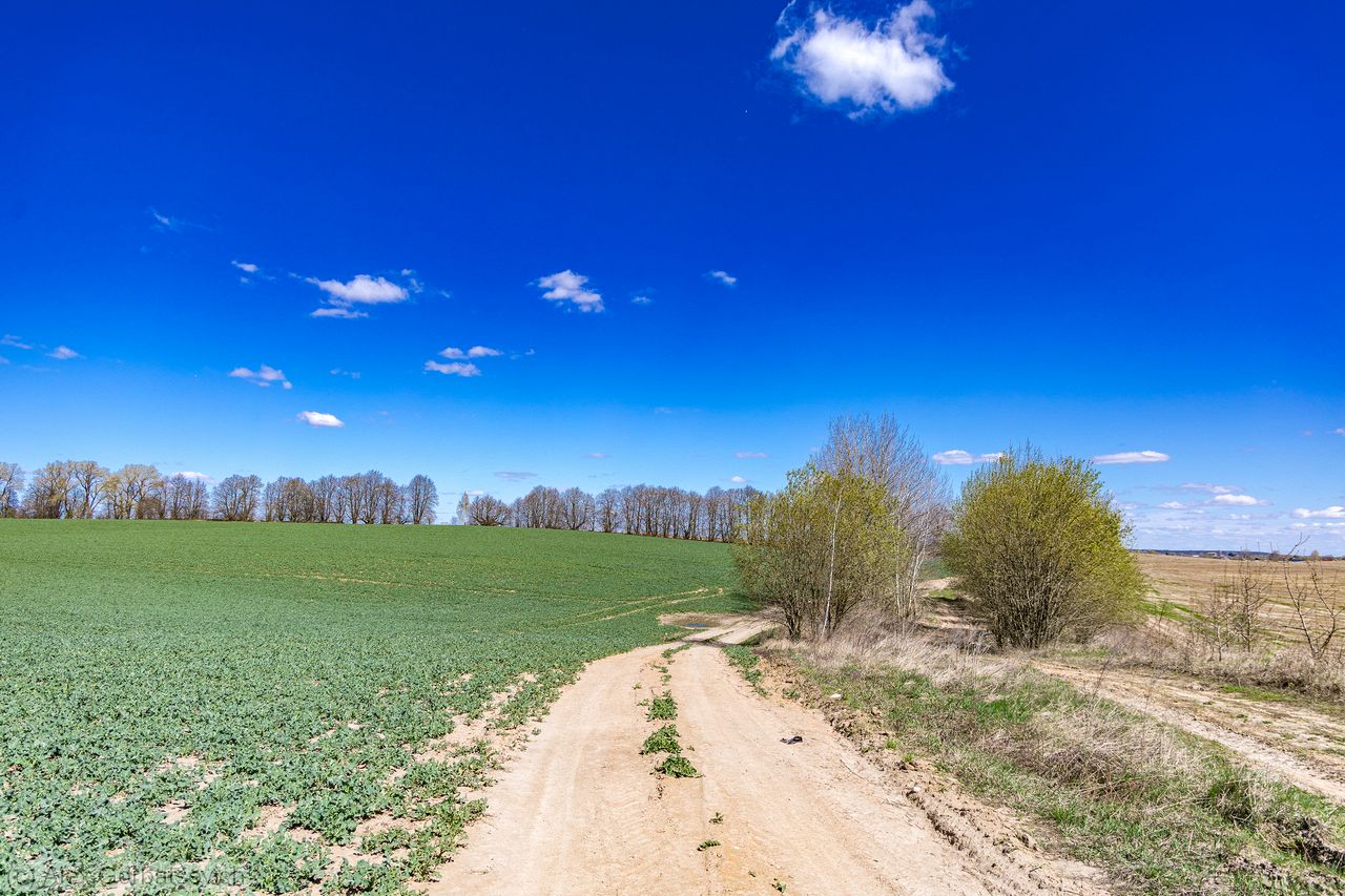 ������ ����� ����