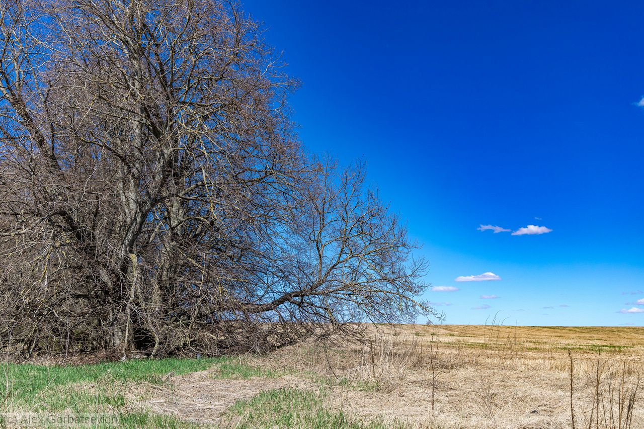 �� ������