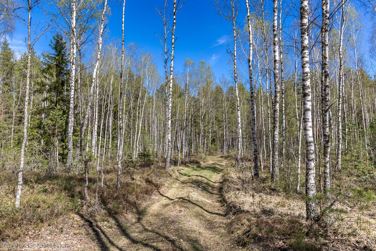� ��������� ����
