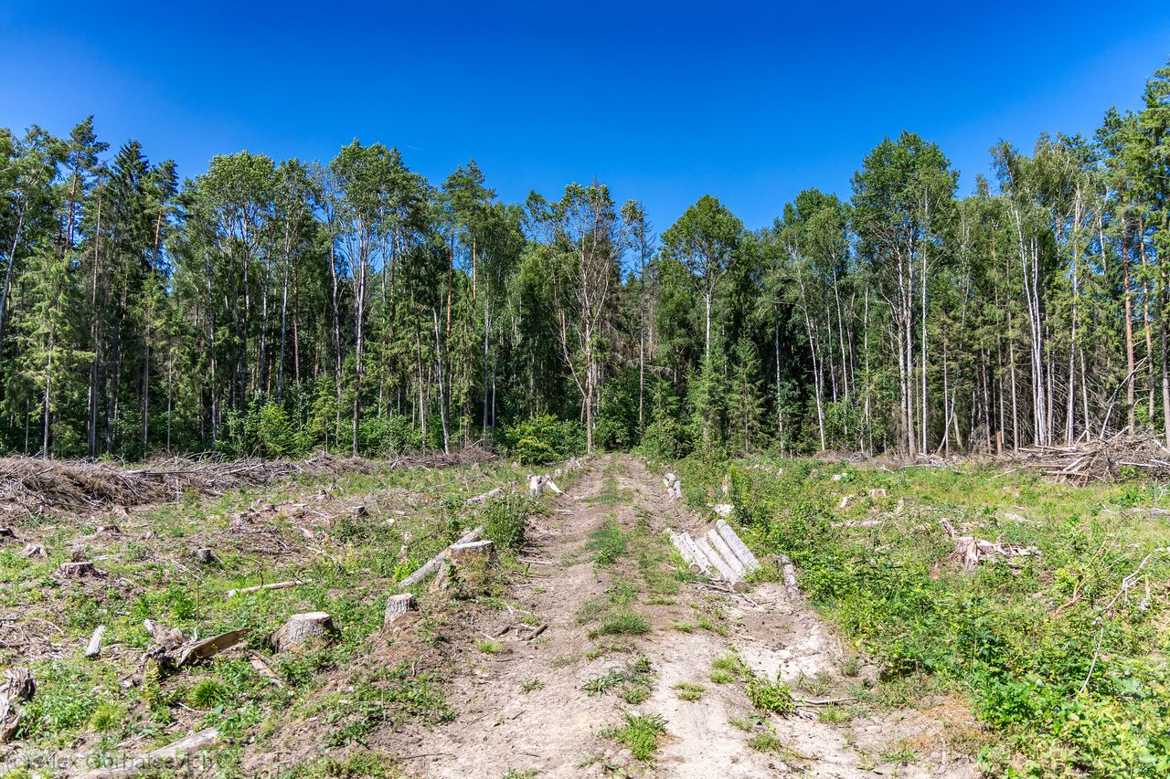 ���