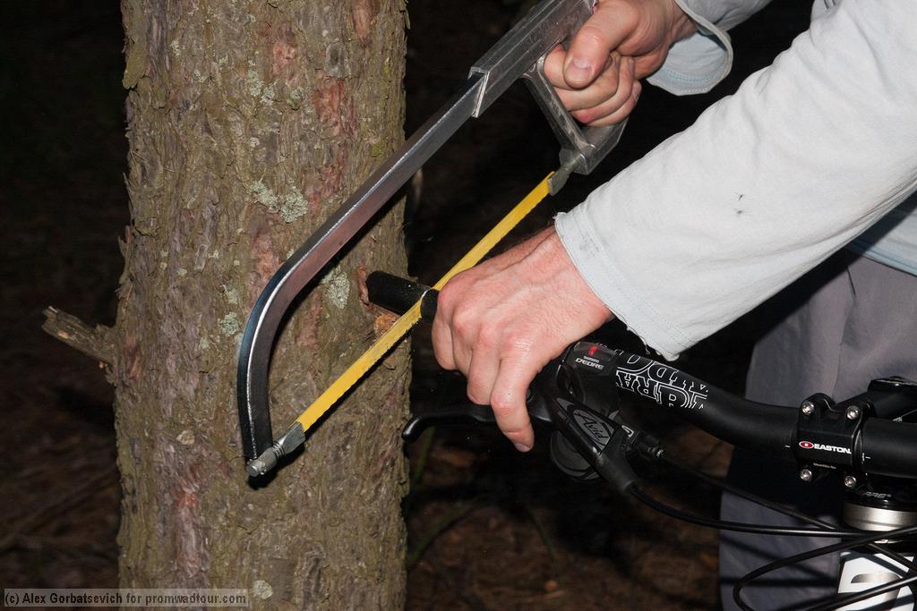 ���������� � ��