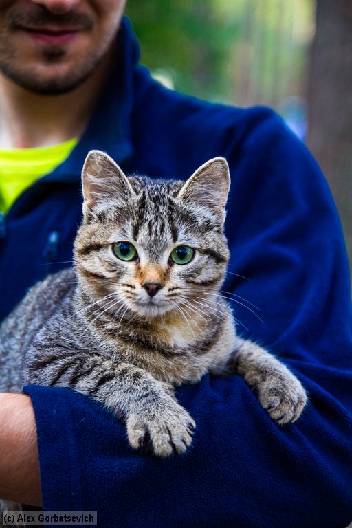 ����� �������