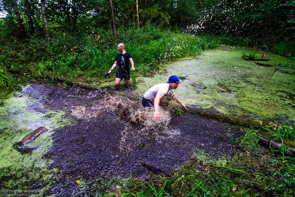 ���� �����, ���� ��������...