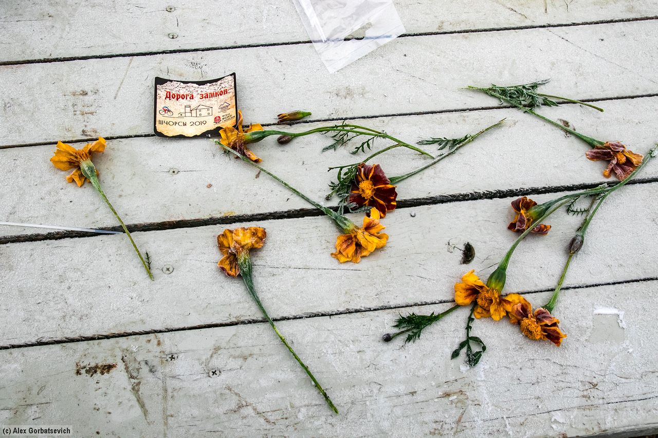 ������ ������. ����� �����..