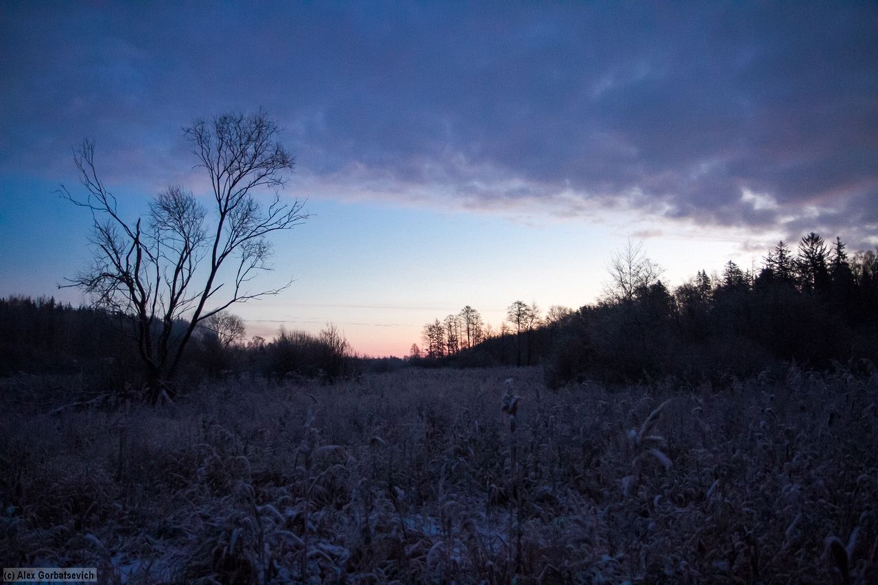 �� ��������