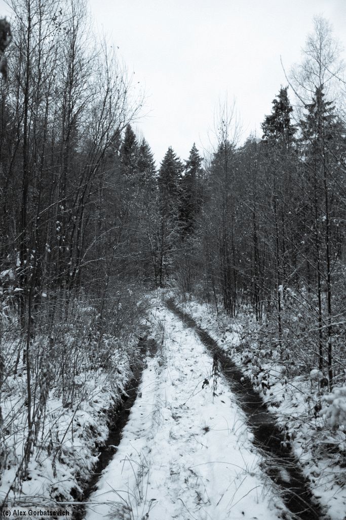 ������ �������