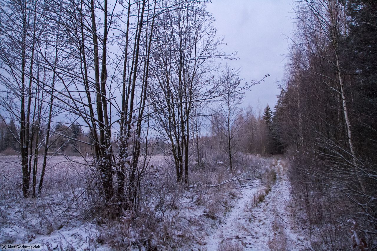 ����� �����