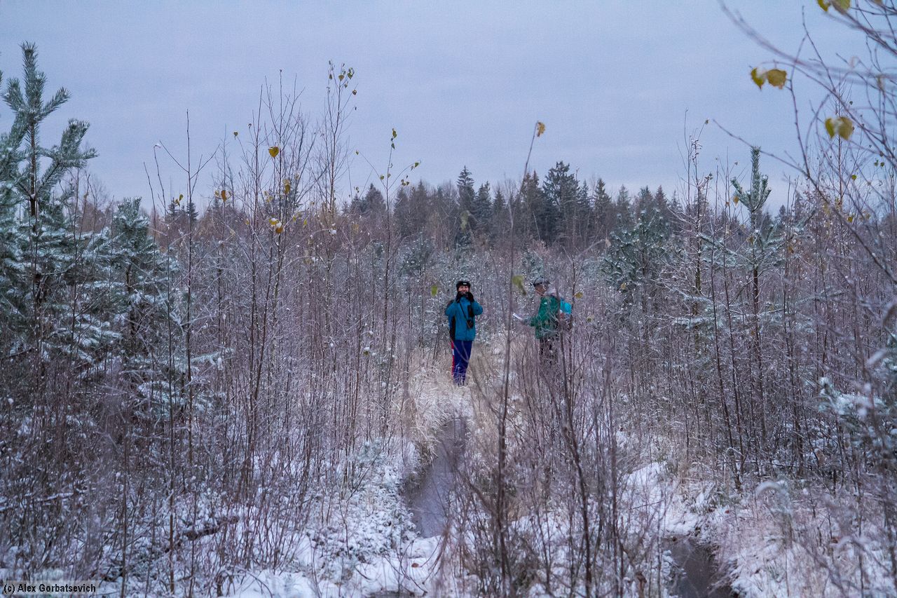 ���� ������