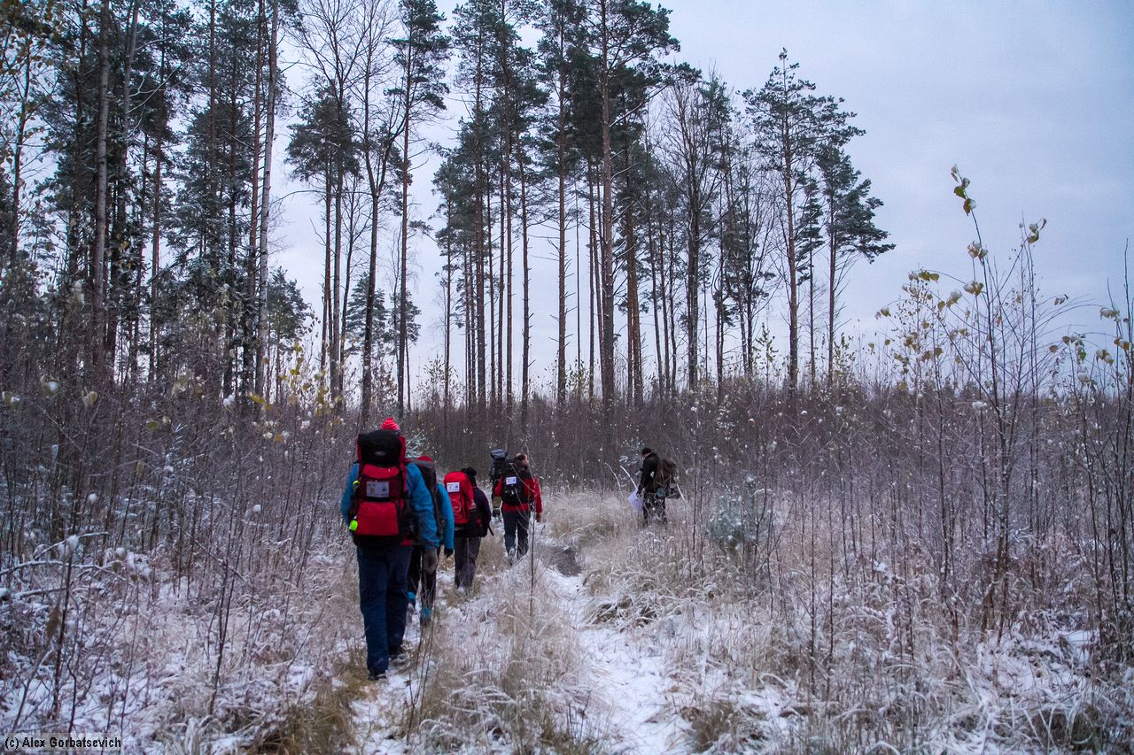 ���� ������ ���� �� ����