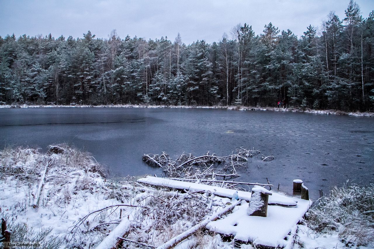 �� �����