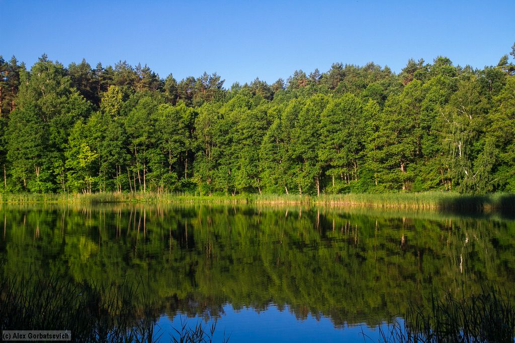 ���� �� �����