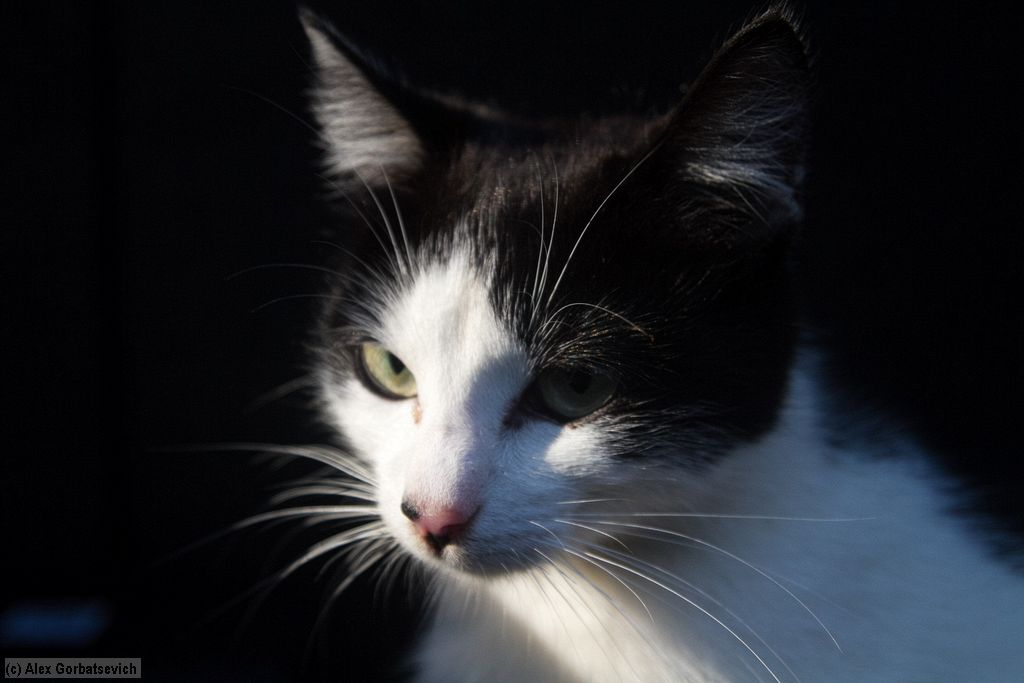 � ����� �� �����