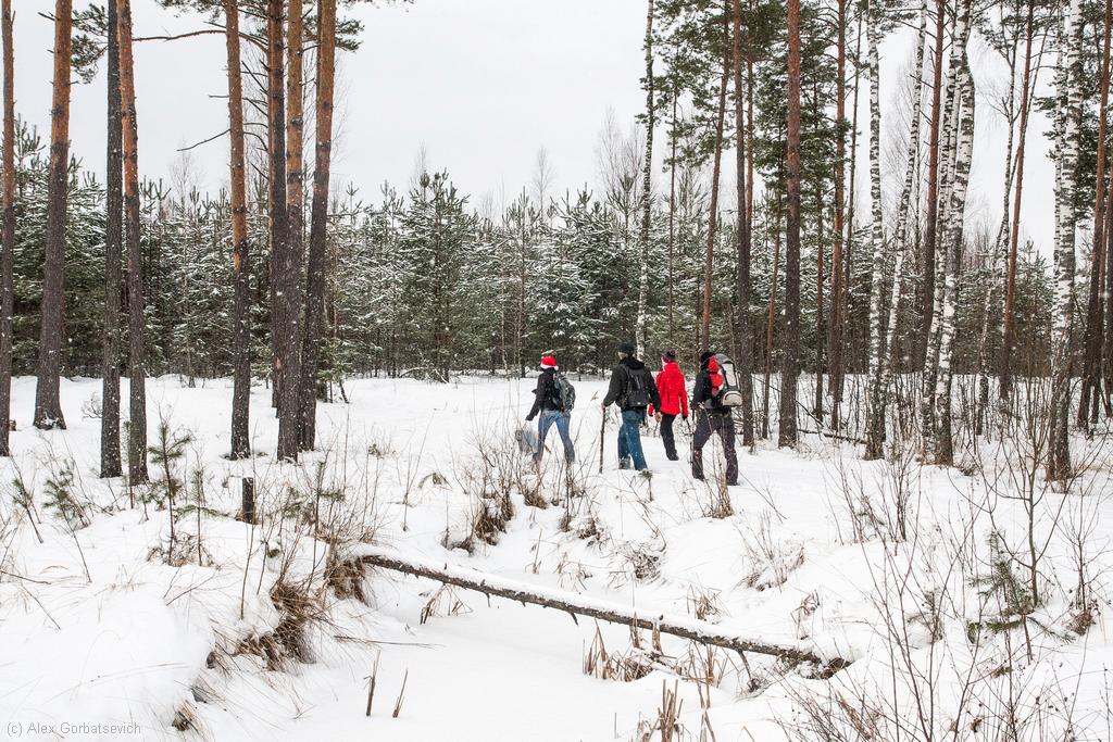 ����� ����