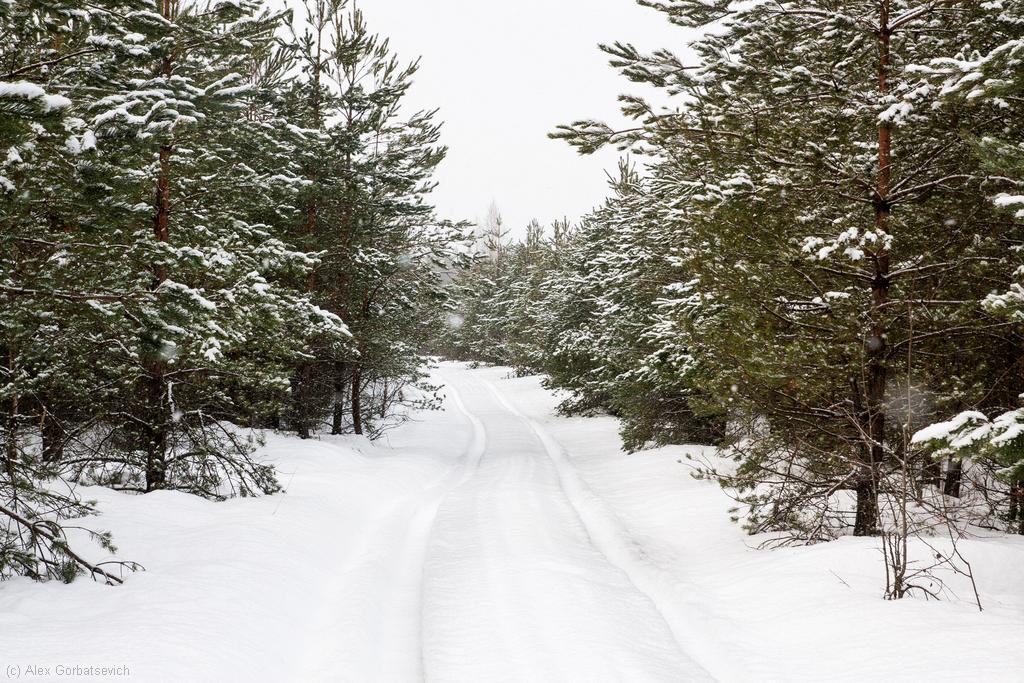 ������ ����� ���