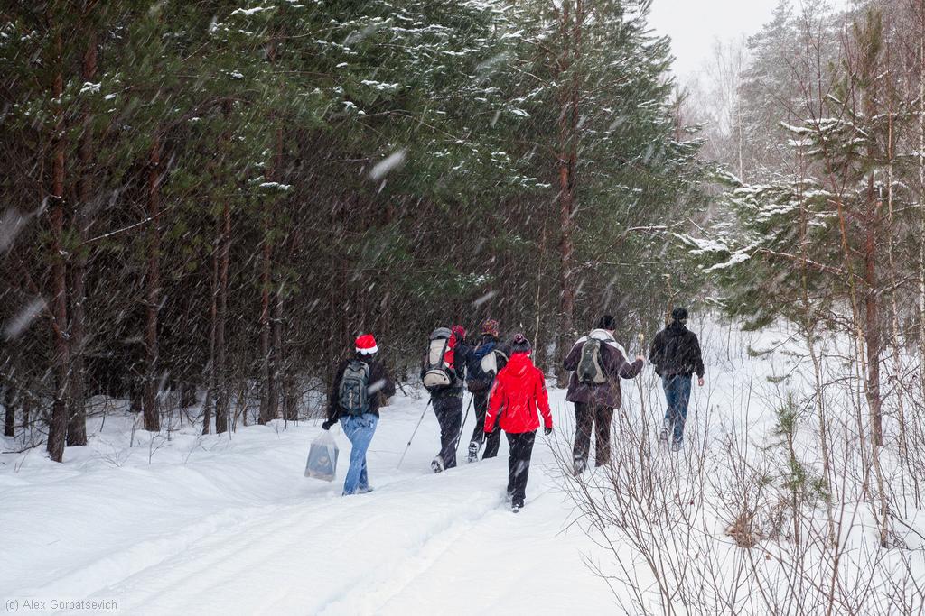 � ��������