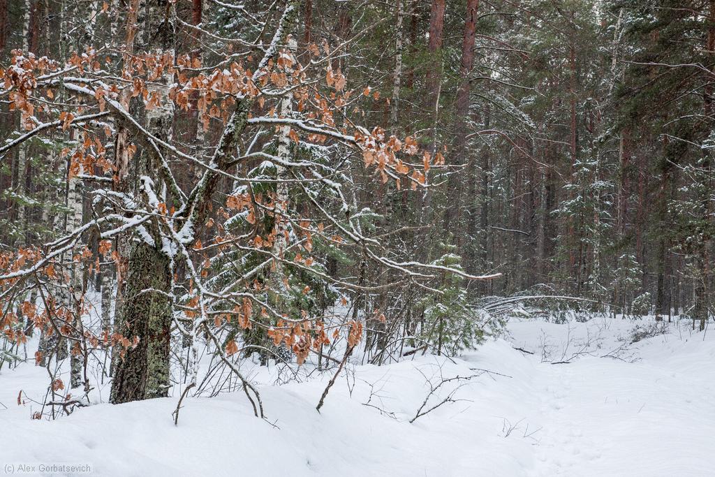 ������������ ���