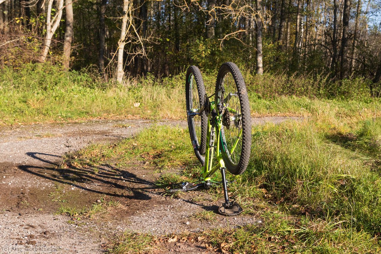 ������� �������������