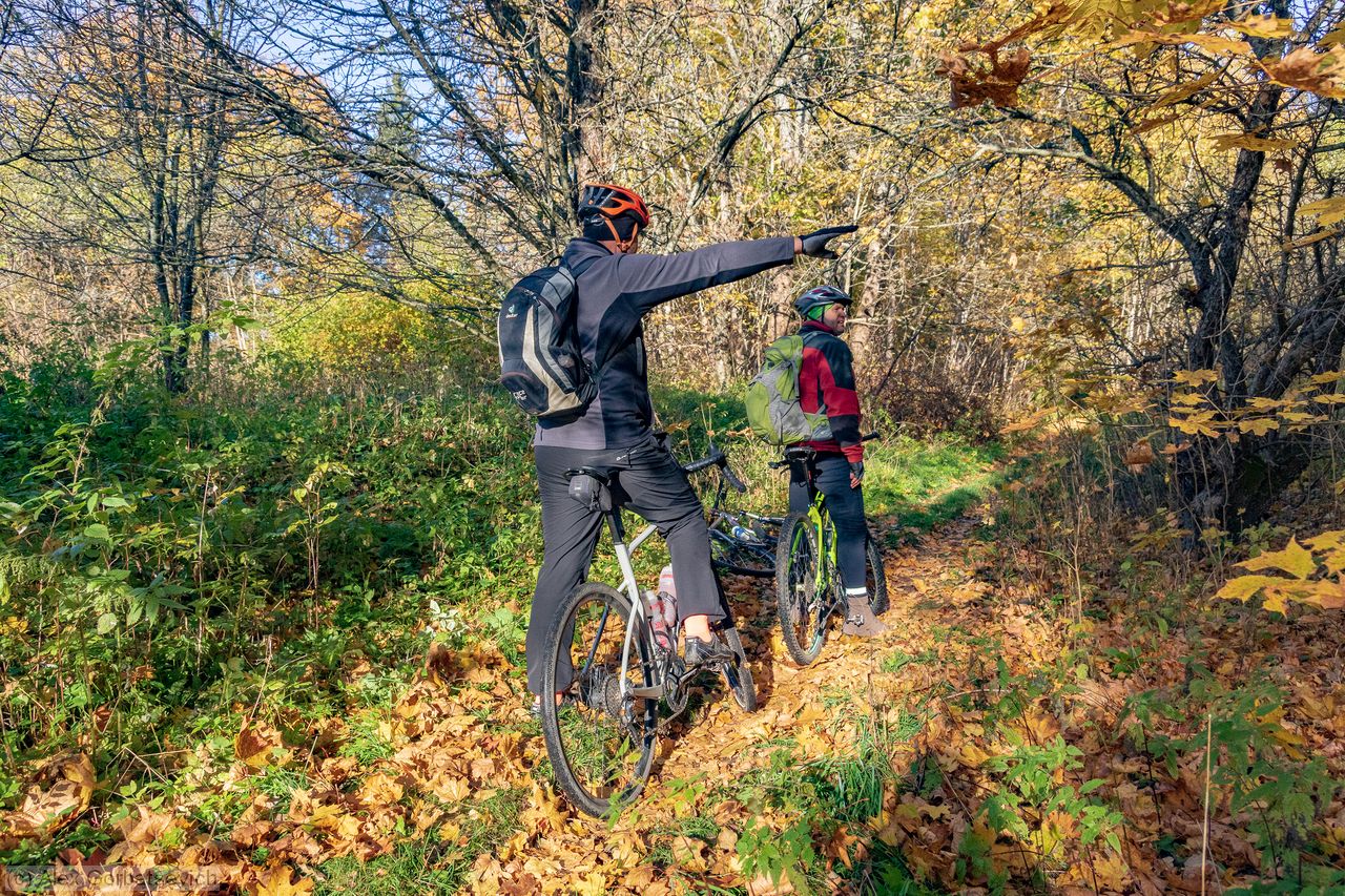 � ������ ���� ������ �� ��������