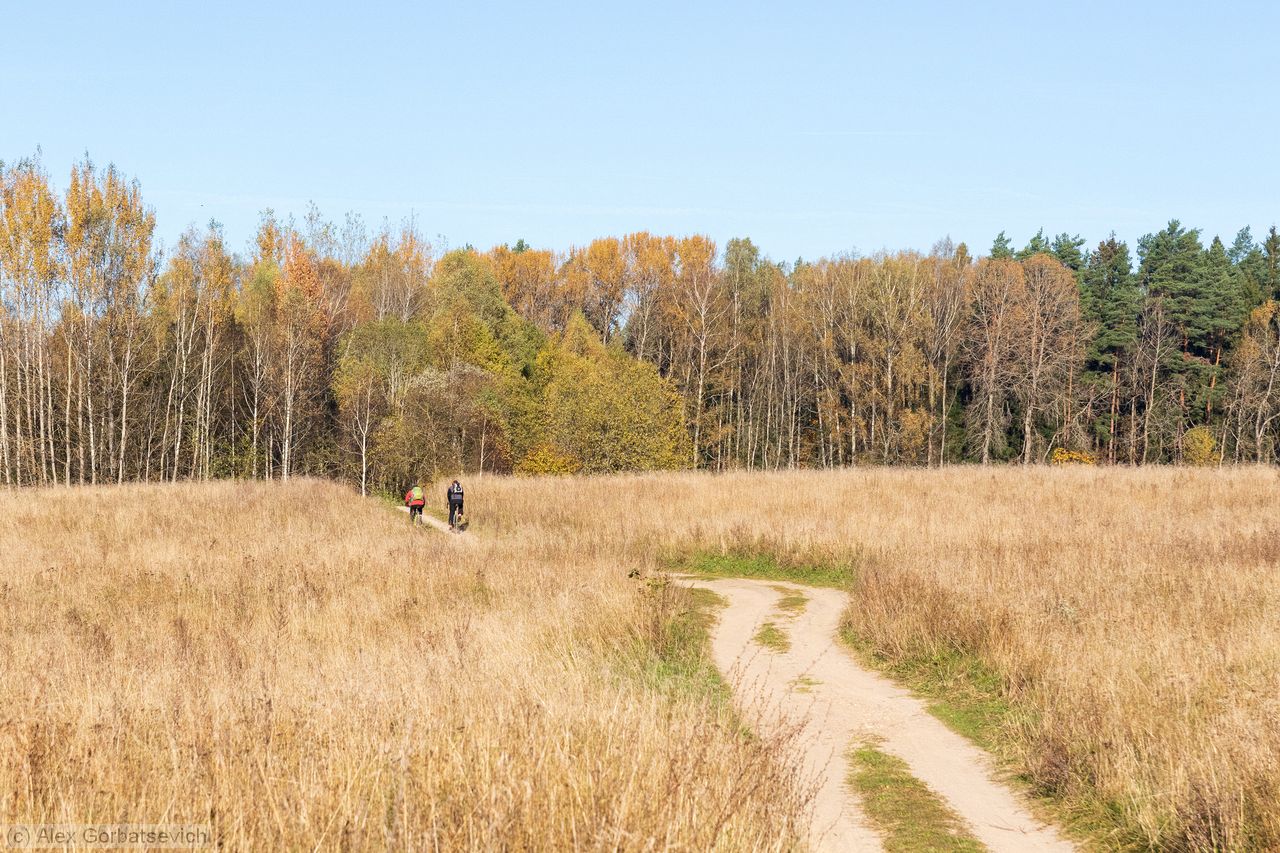 ������� ������