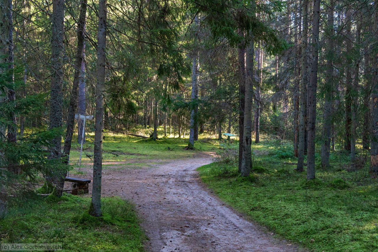 ������ ������