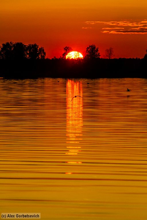 � ���� ��������