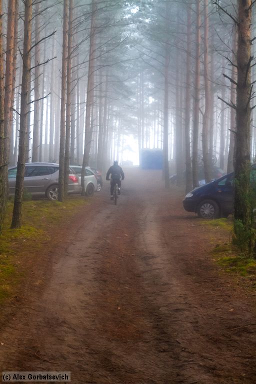 �������� ����