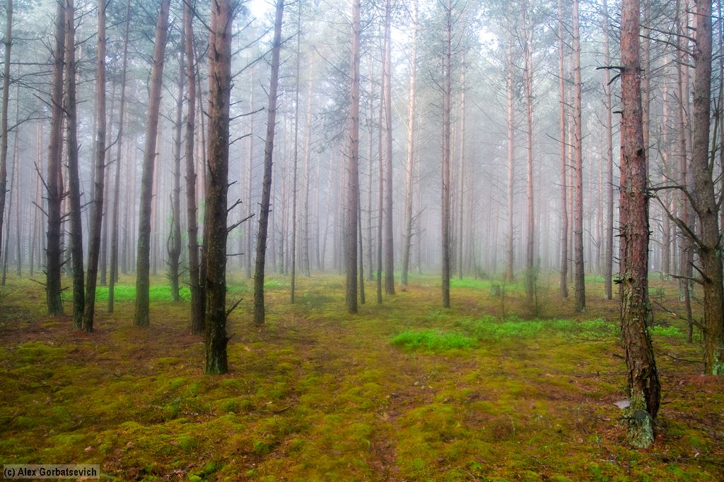 �������� ���