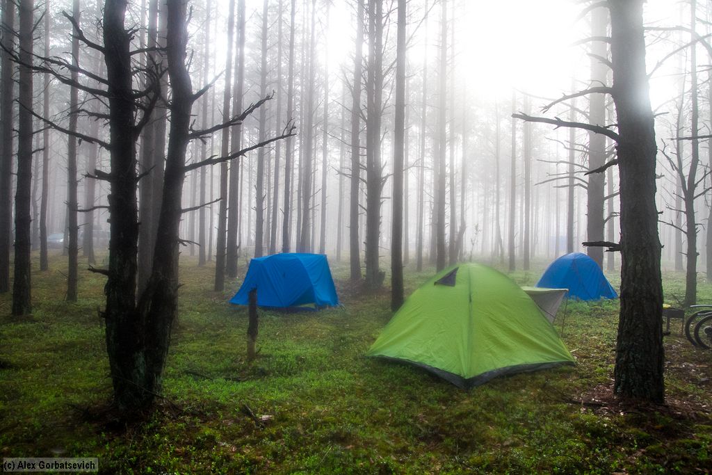 ��������� ����������