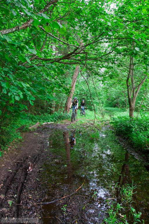 �� ������