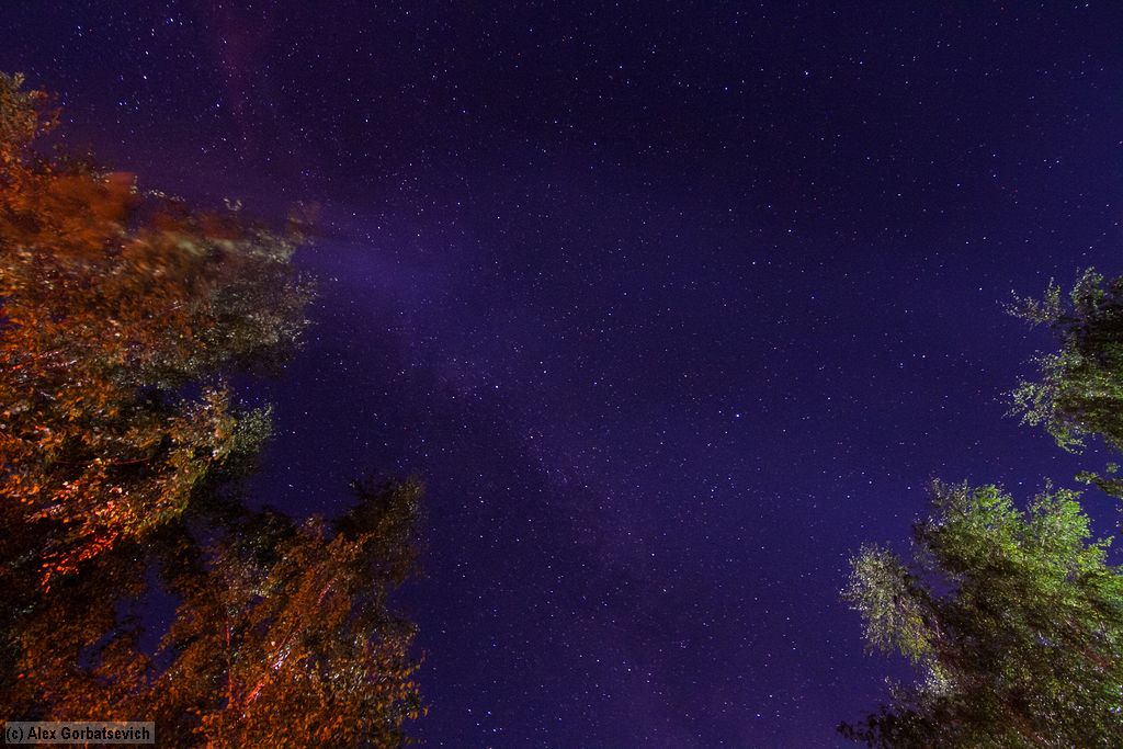 ������� ����