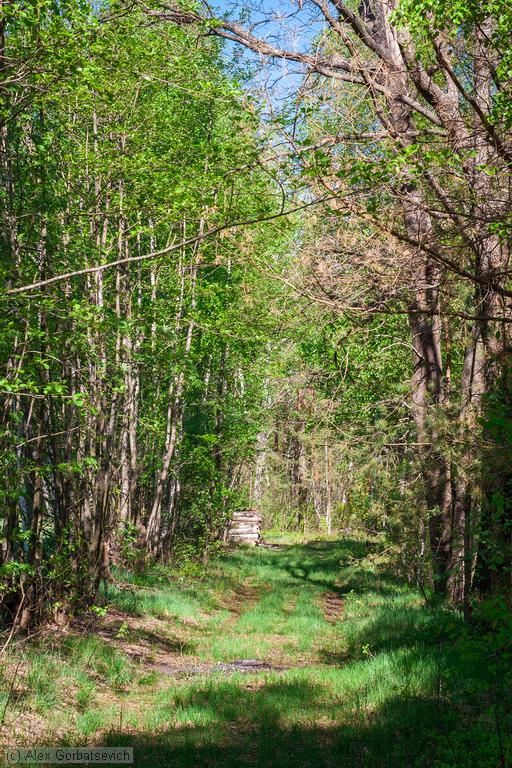 ������� � ������