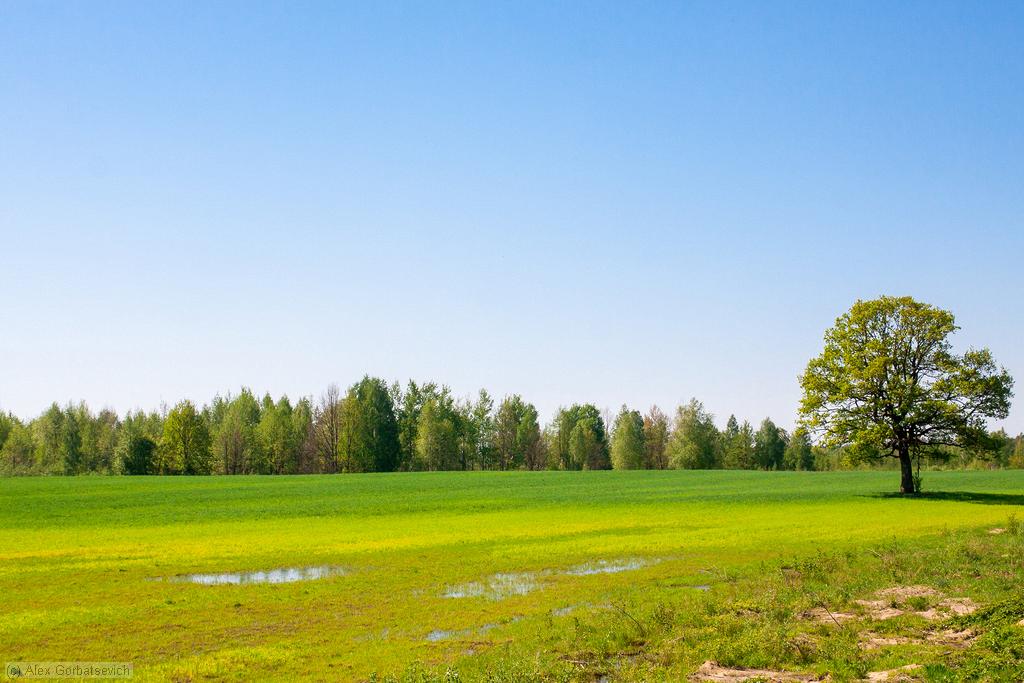 ��� �� ����