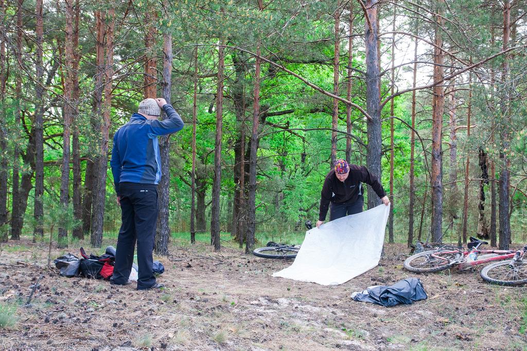 ���� ��� � �����