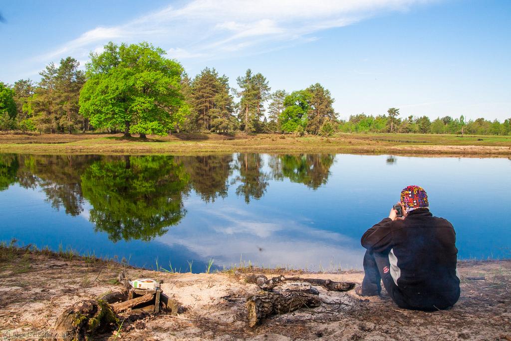 ������������ ��������