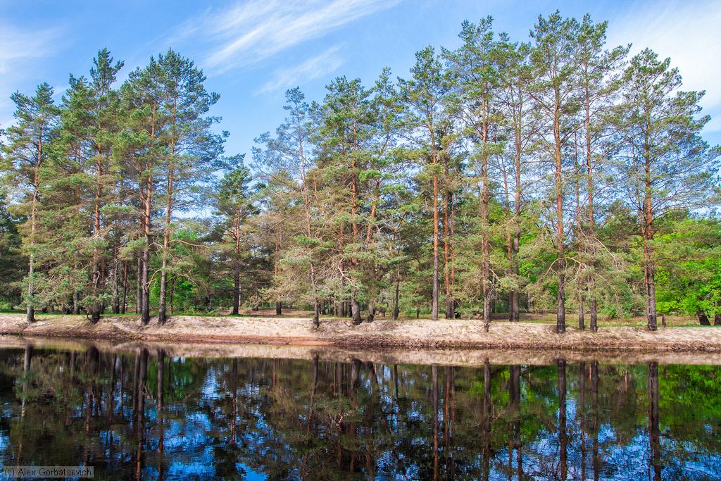 �� ������