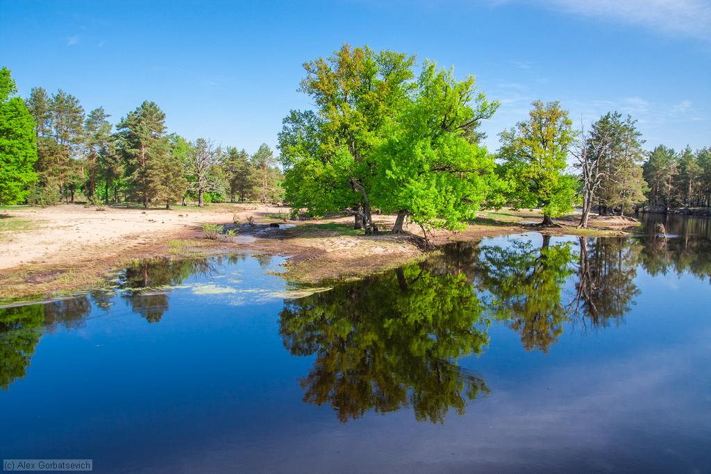 �. �������