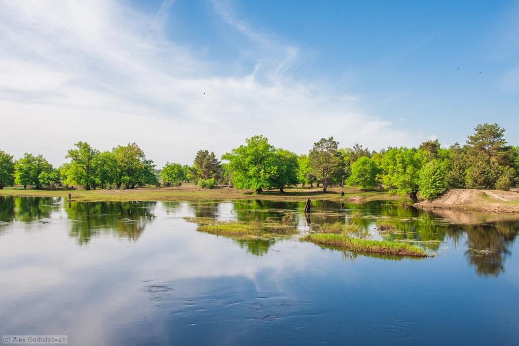 ������� �� ������ �. �������